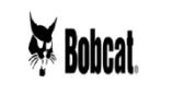 Bobcat